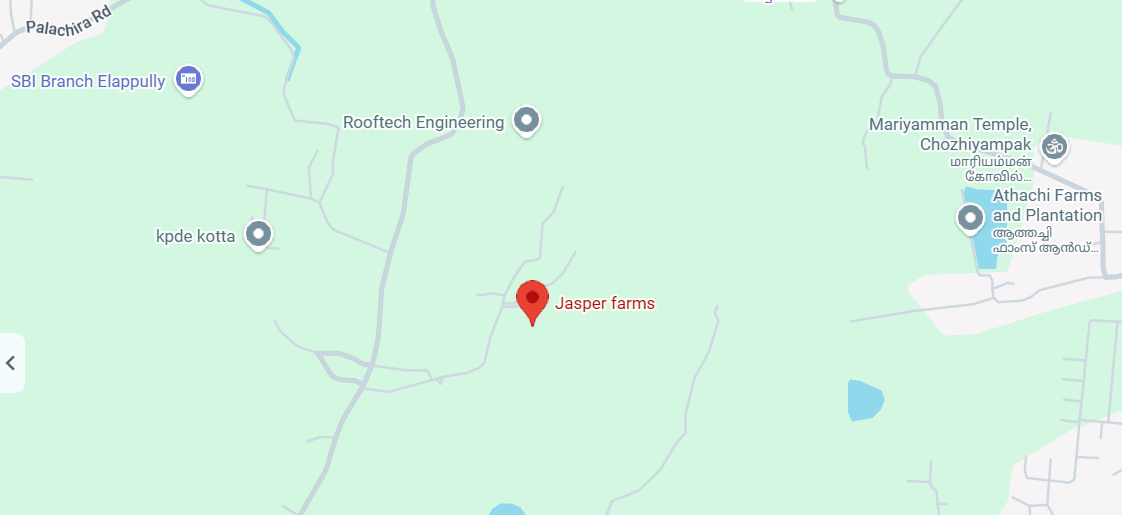 Jasper Farms landscape