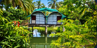 Stay space surrounded by nature